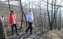 AK Parti yara sardı