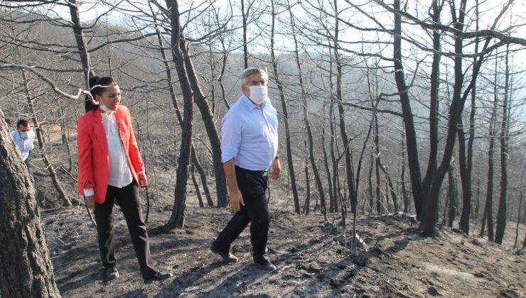 AK Parti yara sardı