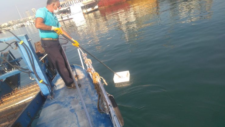 Hatay’daki sahil ve kumsallardan 5 ayda 462 ton atık toplandı