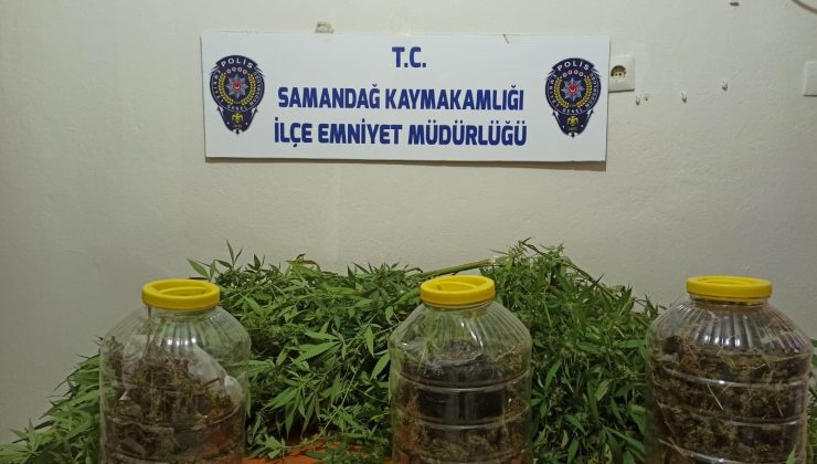 Uyuşturucuyu turşu bidonlarında saklamış