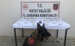 Nar ağacı altına gömülü 3 kilo esrar ele geçirildi