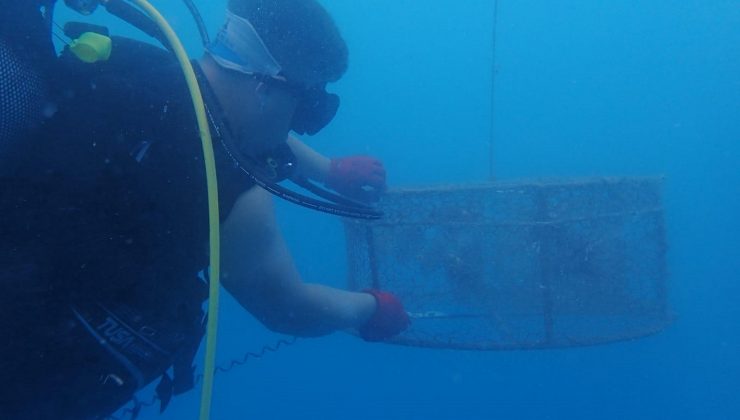 Denizde "kafes" ile balık avlarken yakalandılar