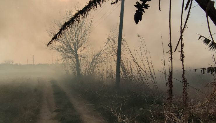 Hatay’ın Erzin ilçesinde orman yangını