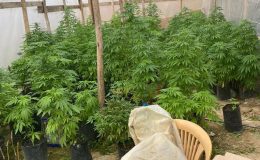 Uyuşturucu serası bulundu