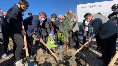 GÜBRETAŞ, Hatay'da yanan ormanlık alanlara fidan dikti