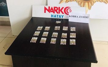 Hatay’da 156 tüp kobra zehri ele geçirildi