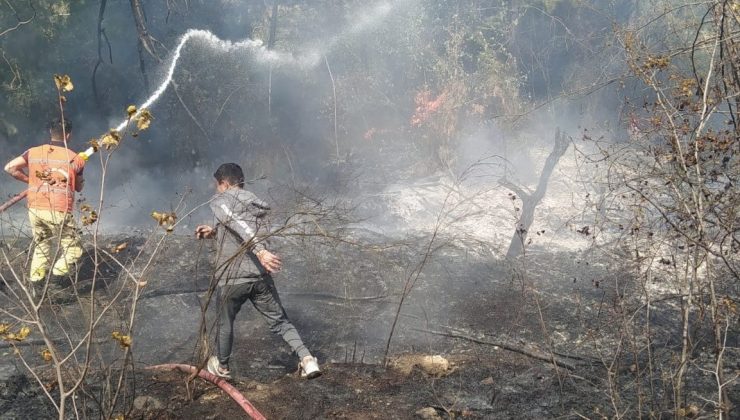 Hatay’da orman yangını