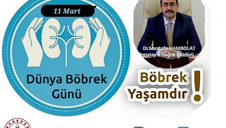 Hambolat: Böbrek sağlığınızı koruyun