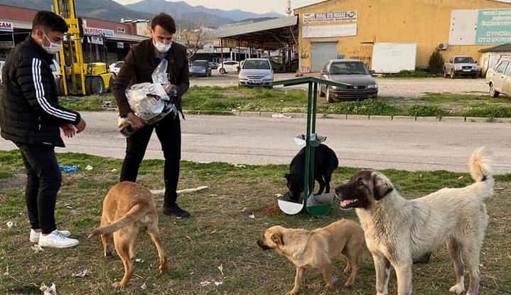 KIRIKHAN BELEDİYESİ SOKAK HAYVANLARINA SAHİP ÇIKMAYA DEVAM EDİYOR