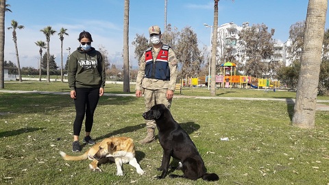 Jandarma sokak hayvanlarını unutmadı