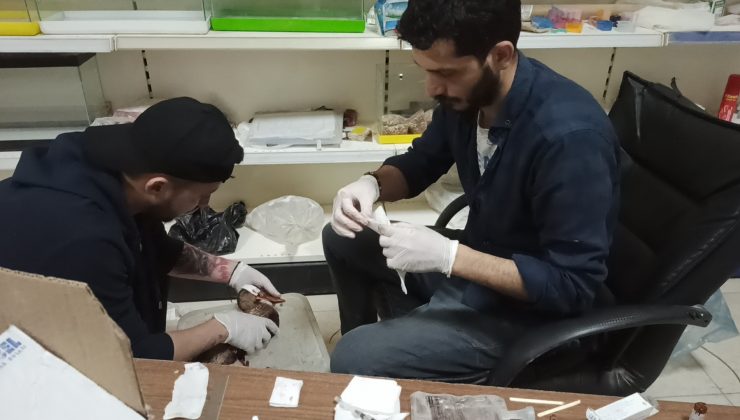 Hatay’da yaralı kaşıkgaga ördeğine polis sahip çıktı