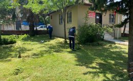 PARKLARDA ÇİM BİÇME VE BAKIM ÇALIŞMALARI