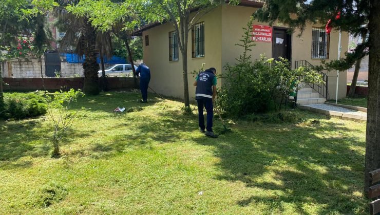 PARKLARDA ÇİM BİÇME VE BAKIM ÇALIŞMALARI