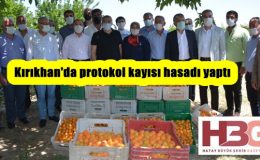 Kırıkhan’da protokol kayısı hasadı yaptı