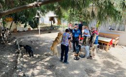 Arsuz Jandarması sokak hayvanlarını besledi