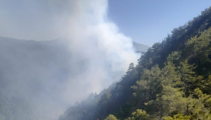 Amanos Dağları’ndaki yangın kontrol altına alındı