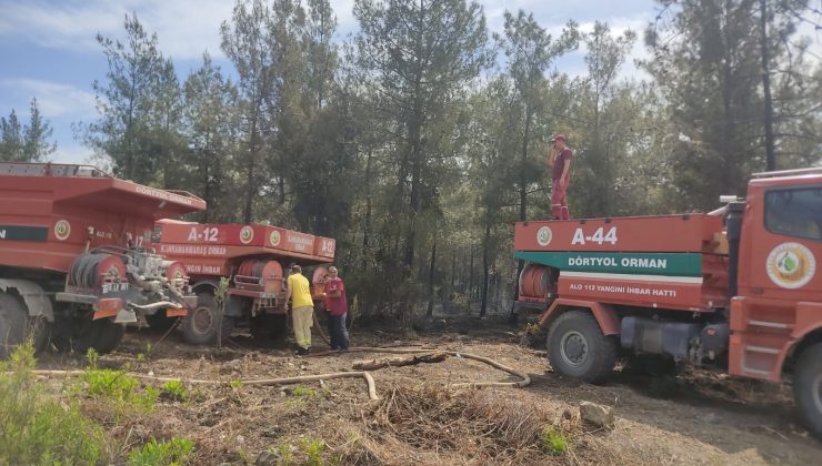 Hatay’daki orman yangınında 1 hektarlık alan zarar gördü