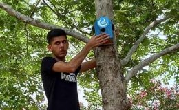 Ağaçlara kuş yuvası astılar