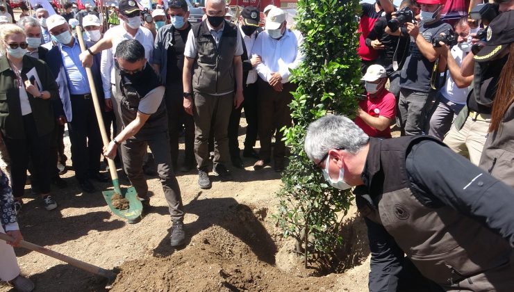 Bakan Pakdemirli Hatay’daki yanan alanda fidan dikti