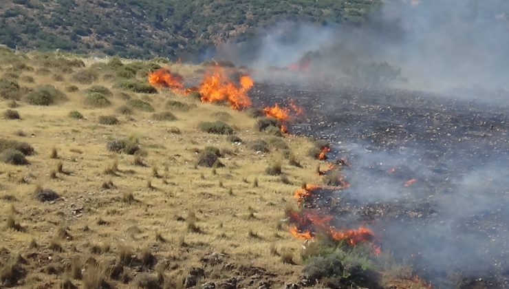 Hatay’da makilik yangını