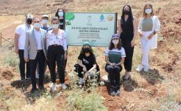 İTÜ ETA Vakfı Doğa Koleji doğayı giydiriyor