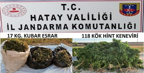 Samandağ’da jandarmadan uyuşturucu operasyonu