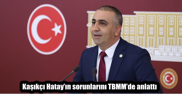 Kaşıkçı Hatay’ın sorunlarını TBMM’de anlattı