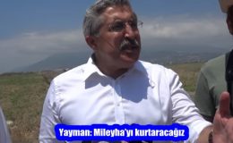 Yayman: Mileyha’yı kurtaracağız