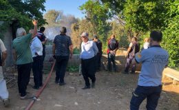 Kırıkhan’da zeytinlik alan yandı