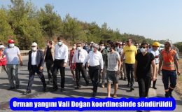Orman yangını Vali Doğan koordinesinde söndürüldü
