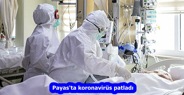 Payas’ta koronavirüs patladı