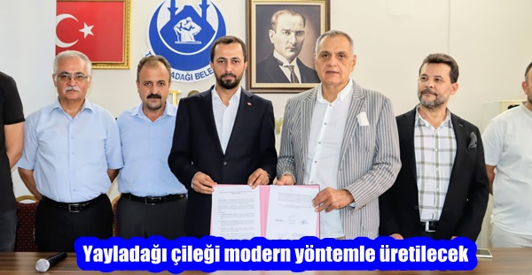 Yayladağı çileği modern yöntemle üretilecek