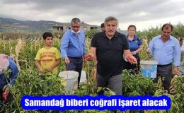 Samandağ biberi coğrafi işaret alacak