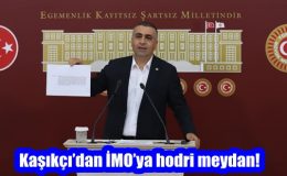 Kaşıkçı’dan İMO’ya hodri meydan!