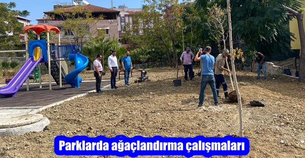 Parklarda ağaçlandırma çalışmaları