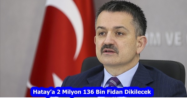 Hatay’a 2 Milyon 136 Bin Fidan Dikilecek