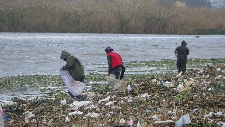 Sahile vuran odunlar kışlık yakacakları oldu