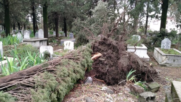 Fırtınanın kökünden söktüğü ağaçlar mezarlara zarar verdi