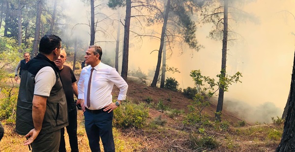 Hatay’da orman yangını