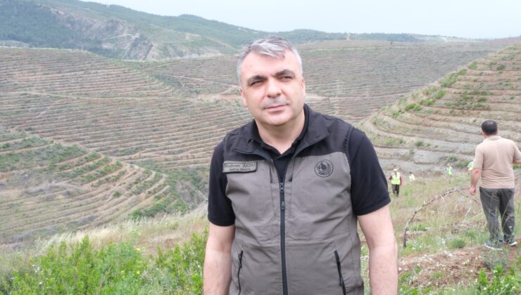 Hatay’da orman yangınlarında zarar gören alanlara 1 milyon 200 bin fidan dikildi