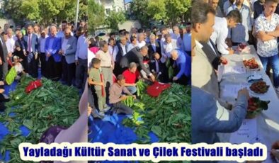 Yayladağı Kültür Sanat ve Çilek Festivali başladı