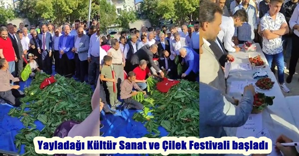 Yayladağı Kültür Sanat ve Çilek Festivali başladı