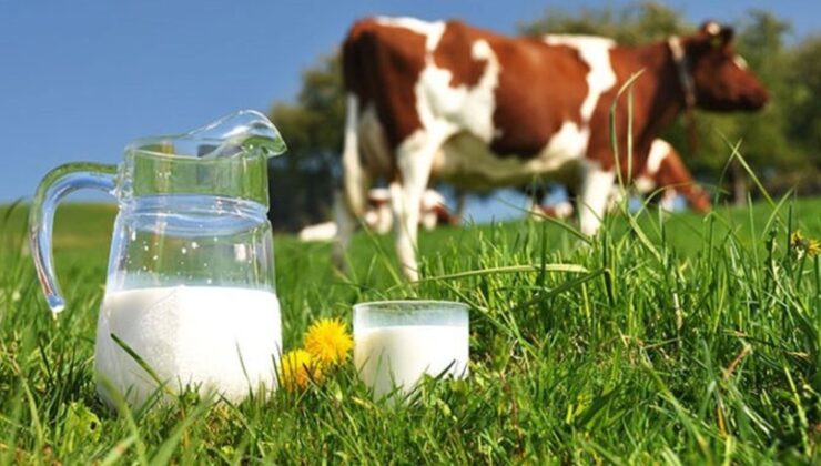 843 bin 876 ton inek sütü toplandı