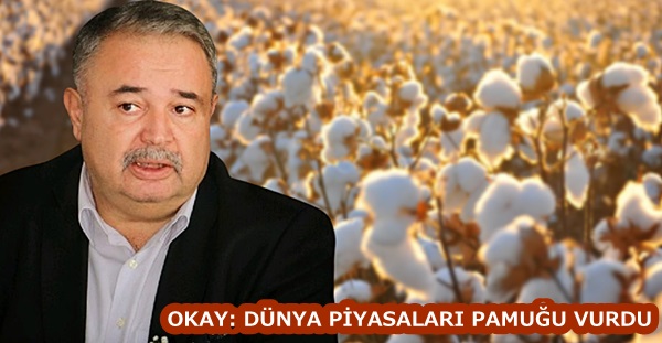 OKAY: DÜNYA PİYASALARI PAMUĞU VURDU