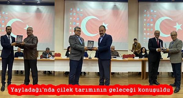 Yayladağı’nda çilek tarımının geleceği konuşuldu