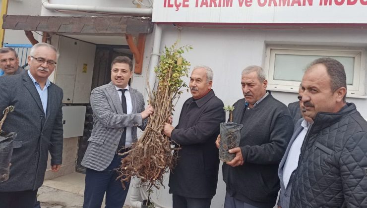 90 üreticiye 22 bin 500 adet sumak fidanı dağıtıldı