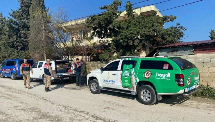 Hatay’da sokak köpeğine silahla ateş eden şüpheli yakalandı