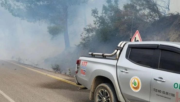 Hatay’da çıkan orman yangını kontrol altına alındı