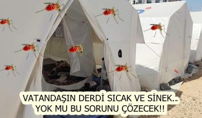VATANDAŞIN DERDİ SICAK VE SİNEK.. YOK MU BU SORUNU ÇÖZECEK!!