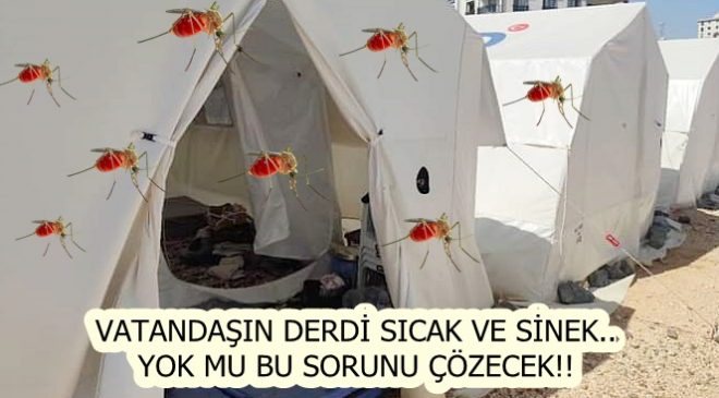 VATANDAŞIN DERDİ SICAK VE SİNEK.. YOK MU BU SORUNU ÇÖZECEK!!